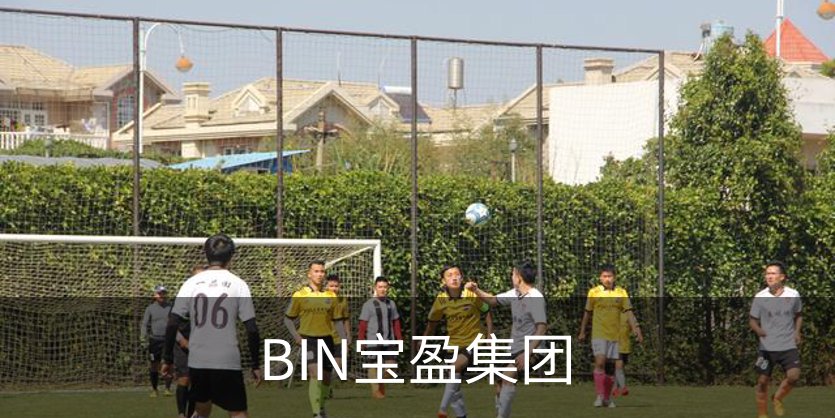 走进BIN宝盈集团