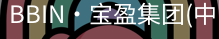 BIN宝盈集团